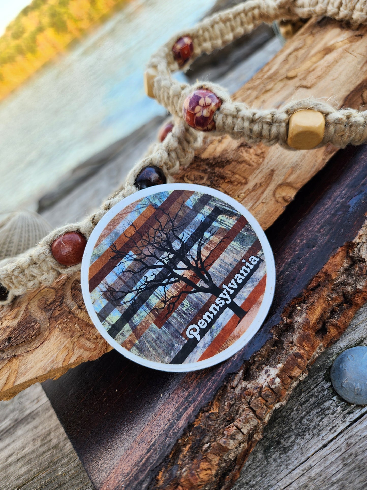 Vinyl Adventure Decal ▪︎ Pennsylvania Fall