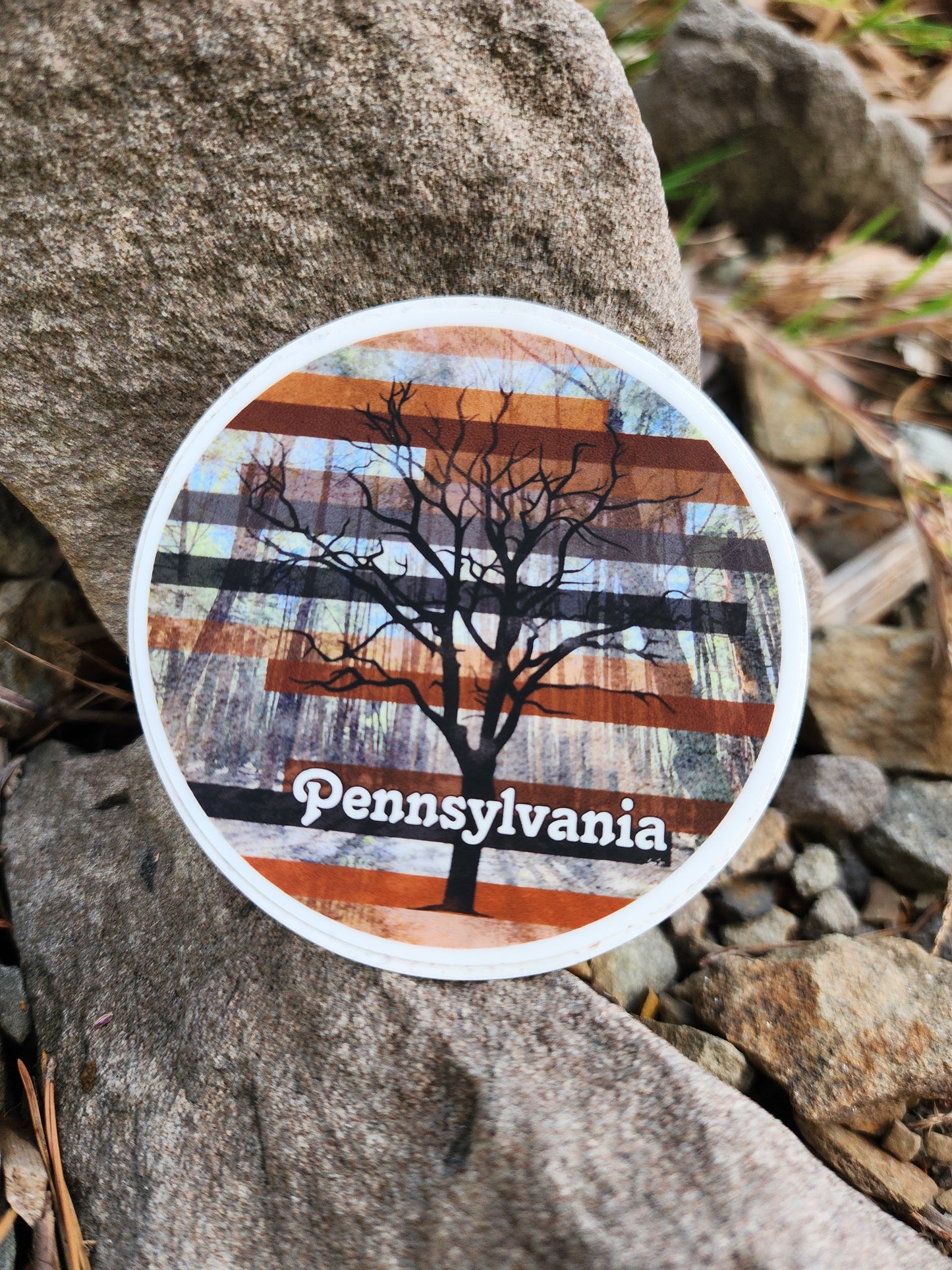 Vinyl Adventure Decal ▪︎ Pennsylvania Fall