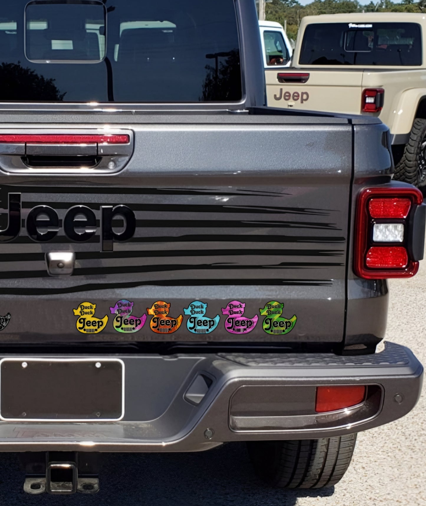 6 Pack of Duck Magnets