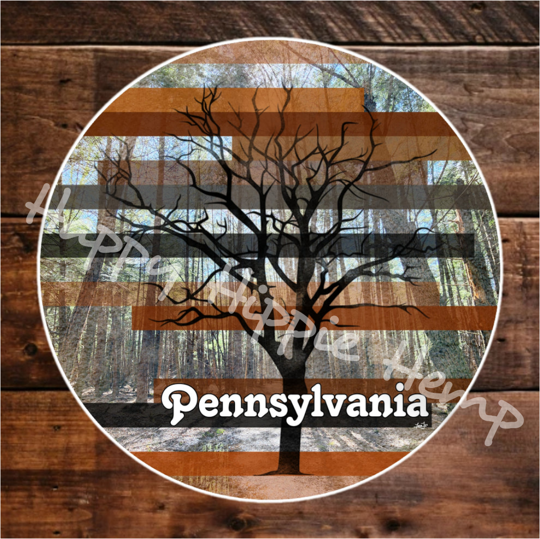 Vinyl Adventure Decal ▪︎ Pennsylvania Fall