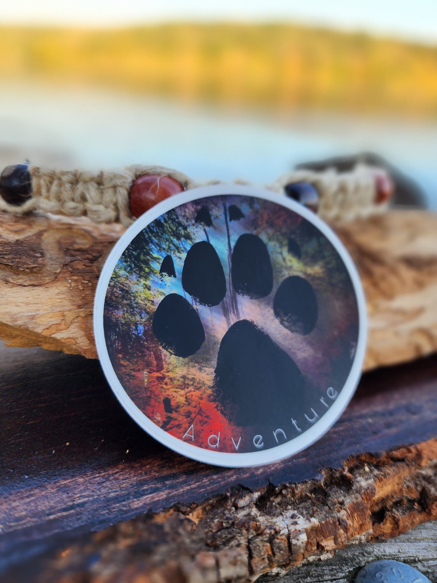 Adventure Paw