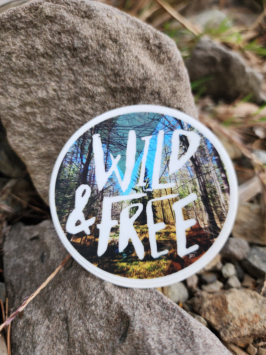 Vinyl Adventure Decal ▪︎ Wild & Free