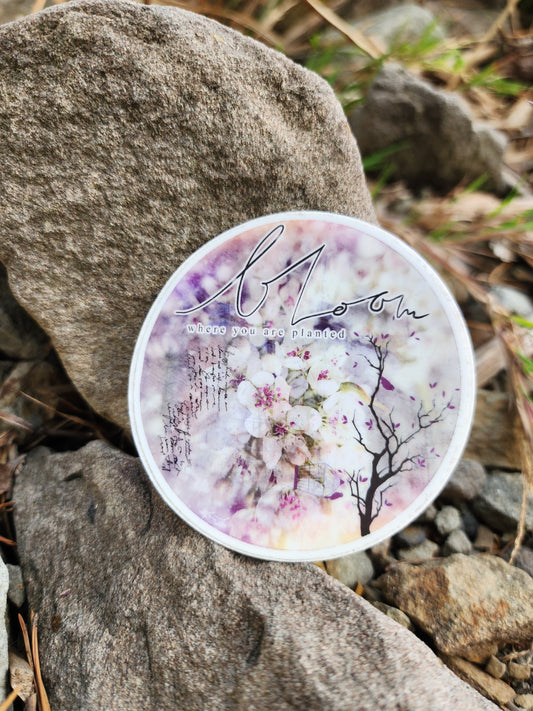 Bloom