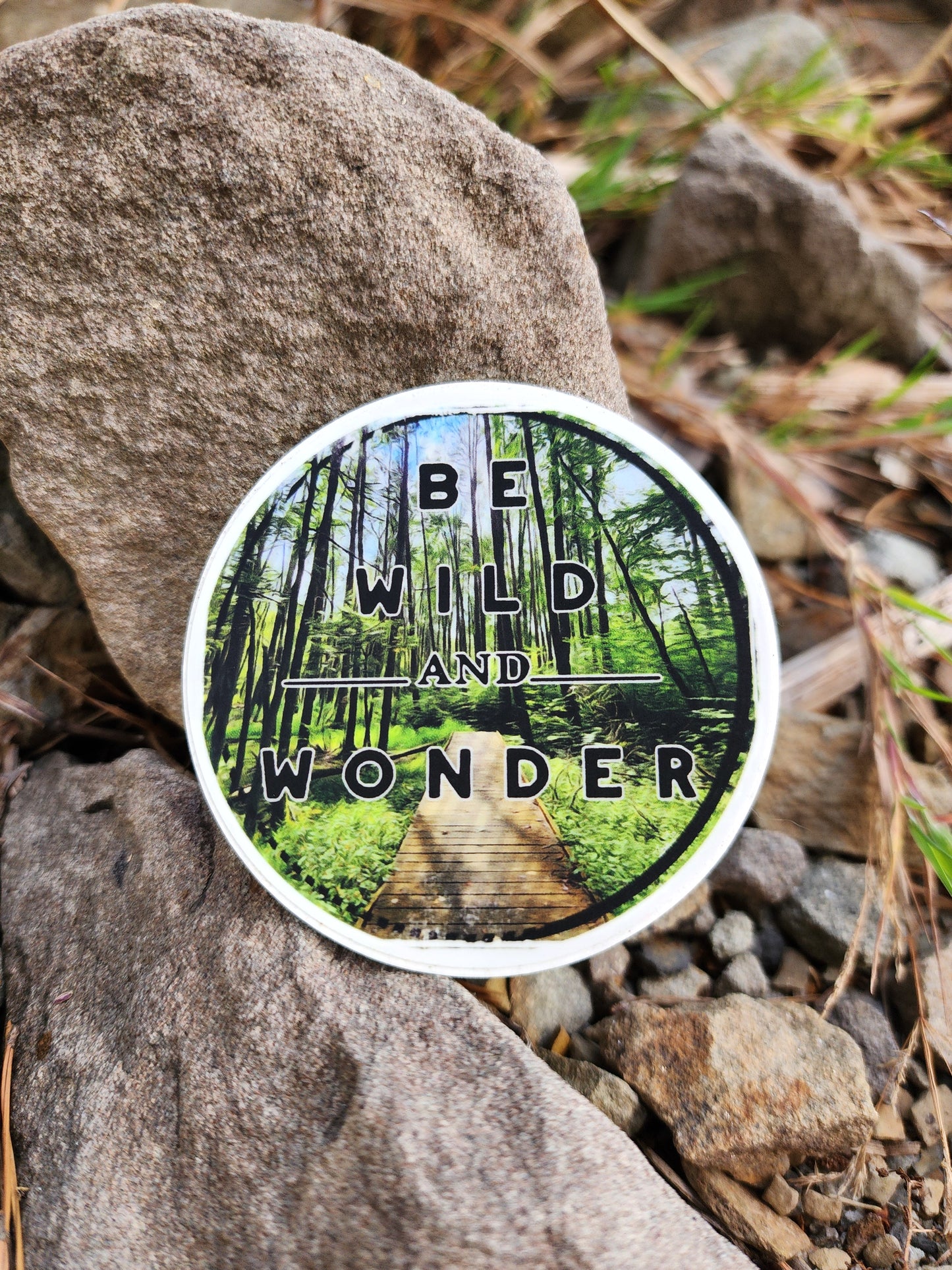 Be Wild and Wonder