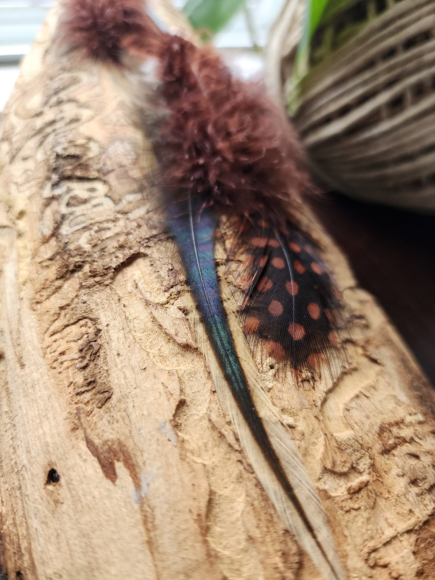 Woodland Wanderer