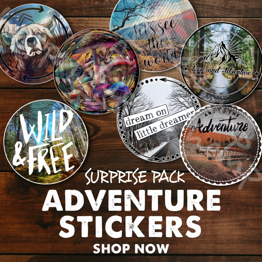 4 Pack ▪︎ Surprise Adventure Stickers