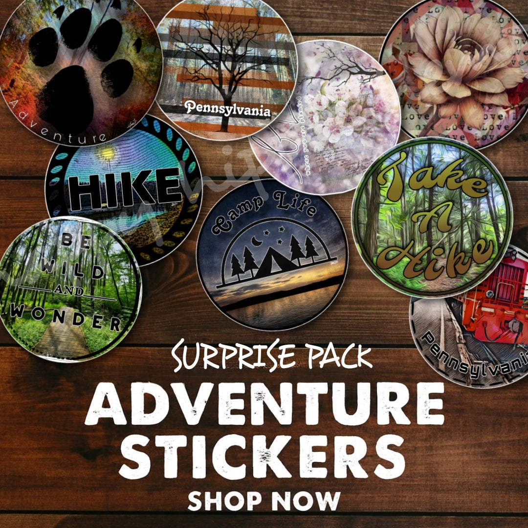 4 Pack ▪︎ Surprise Adventure Stickers